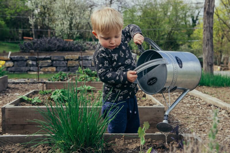 10 Creative DIY Garden Trellis Ideas
