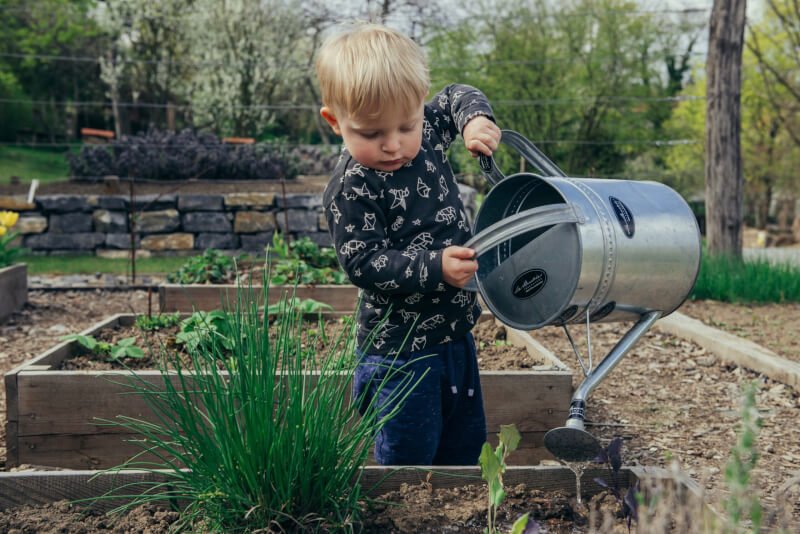 10 Must-Have Tools For DIY Gardening Projects