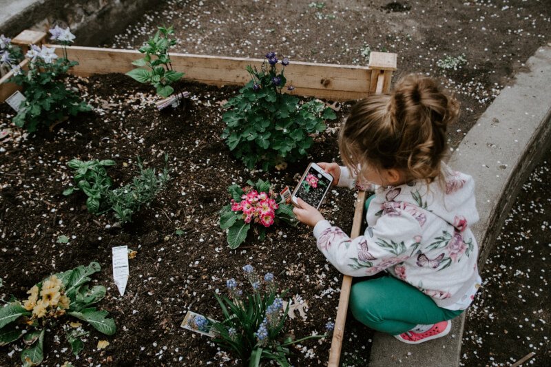 Easy Steps To Build A DIY Garden Mosaic