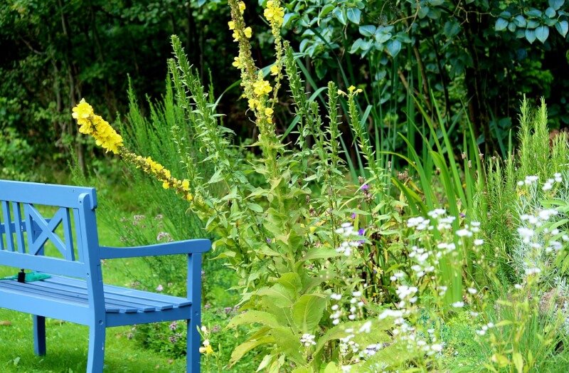 How To Create A Beautiful DIY Garden Oasis
