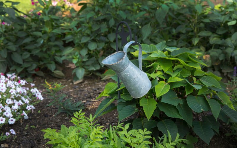 Top 10 DIY Gardening Projects For Beginners